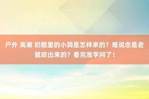 户外 高潮 奶酪里的小洞是怎样来的？难说念是老鼠咬出来的？看完涨学问了！