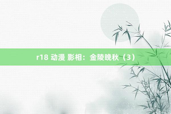 r18 动漫 影相：金陵晚秋（3）