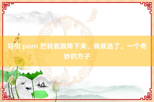 勾引 porn 把转氨酶降下来，病就逃了。一个奇妙的方子